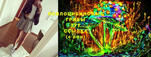 бошки Лабытнанги