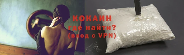 бошки Лабытнанги