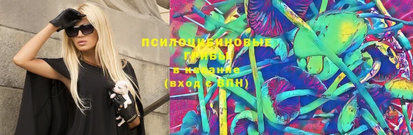 бошки Лабытнанги