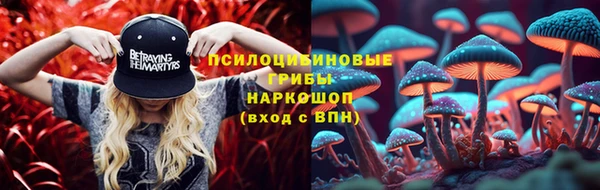 бошки Лагань